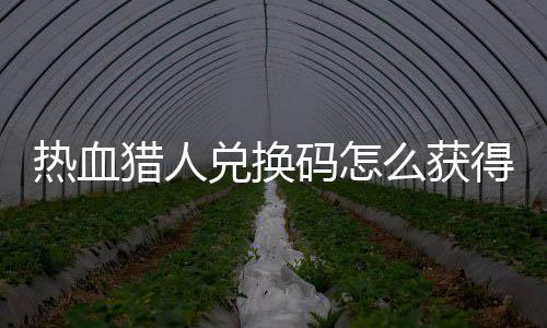 热血热血码怎么获码免猎人猎人兑换得 兑换4大费领取2全